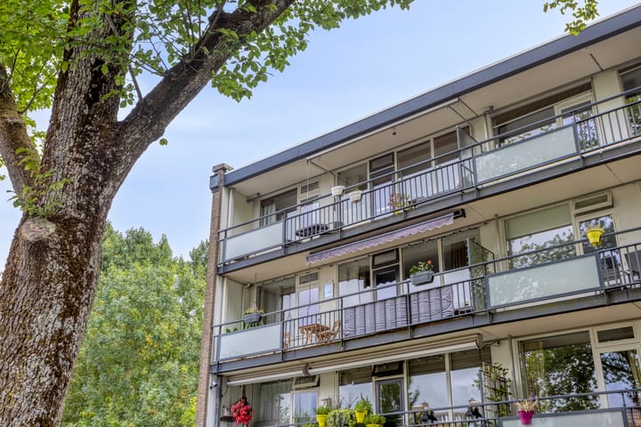 Foto 2 van Spreeuwenstraat 293