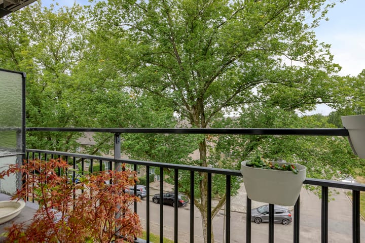 Foto 10 van Spreeuwenstraat 293