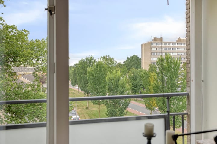 Foto 25 van Spreeuwenstraat 293