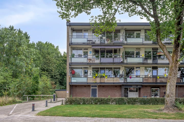 Foto 27 van Spreeuwenstraat 293