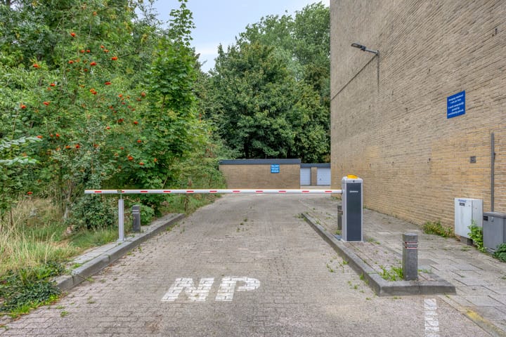 Foto 28 van Spreeuwenstraat 293