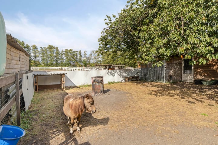 Foto 7 van Amansweg 25