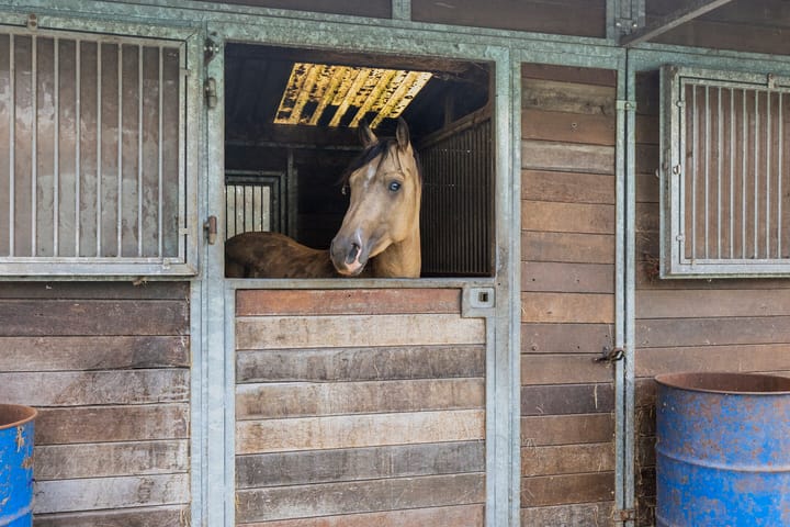 Foto 10 van Amansweg 25