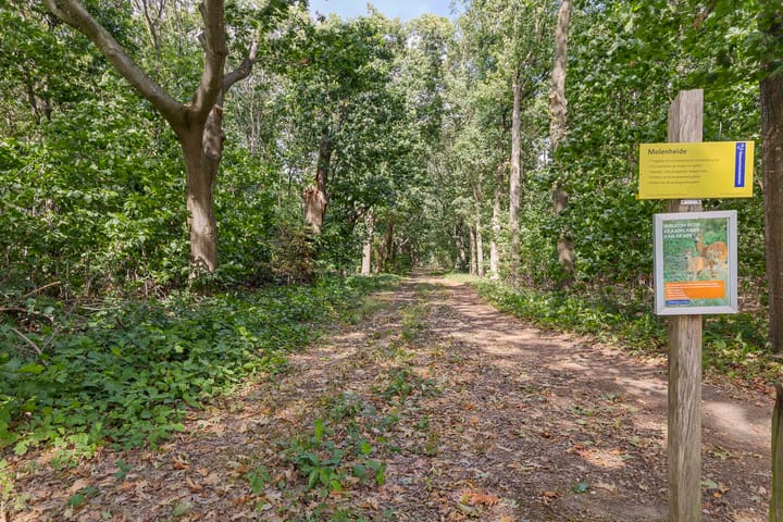 Foto 31 van Amansweg 25