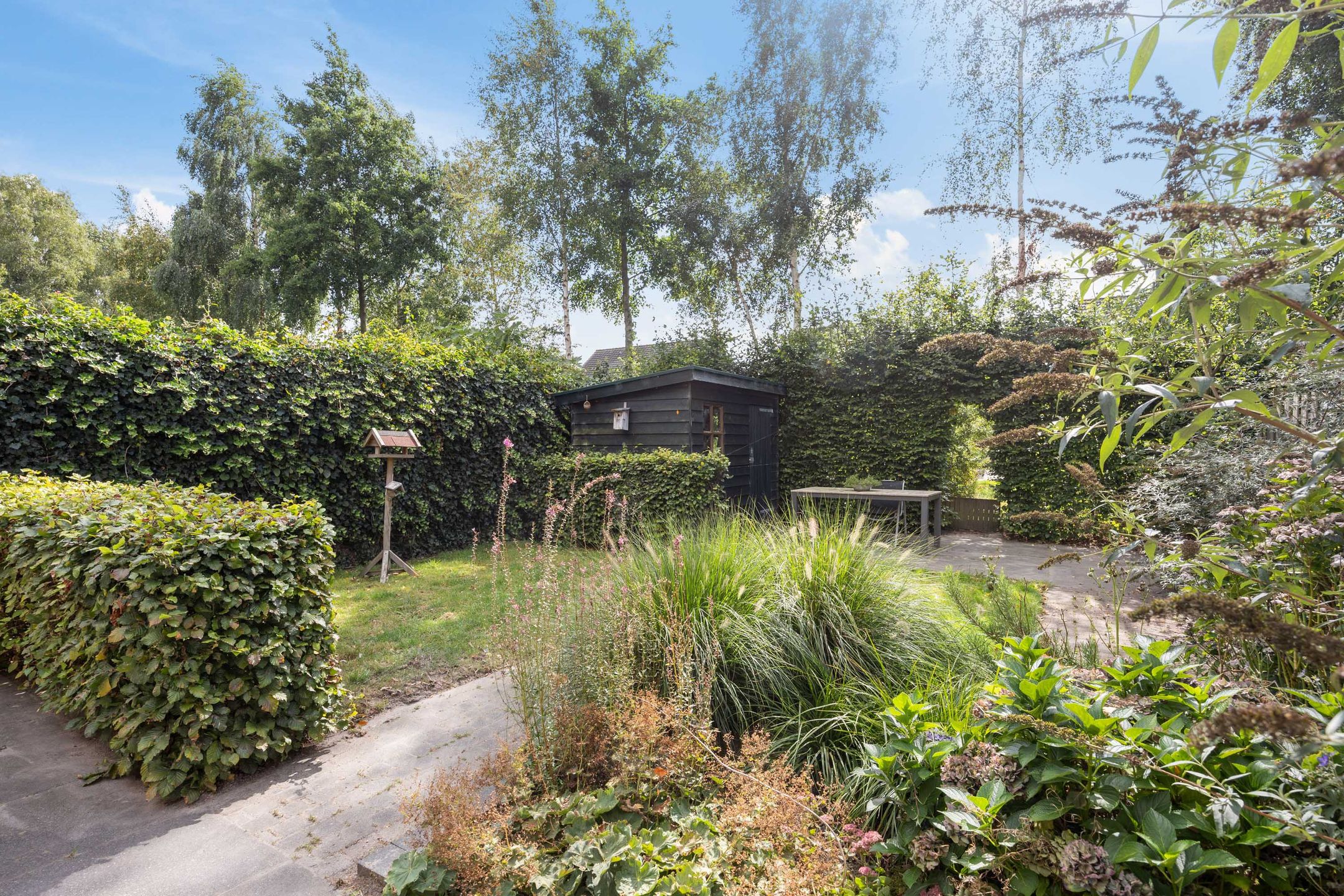 Foto 33 van Kleine Hoorn 6