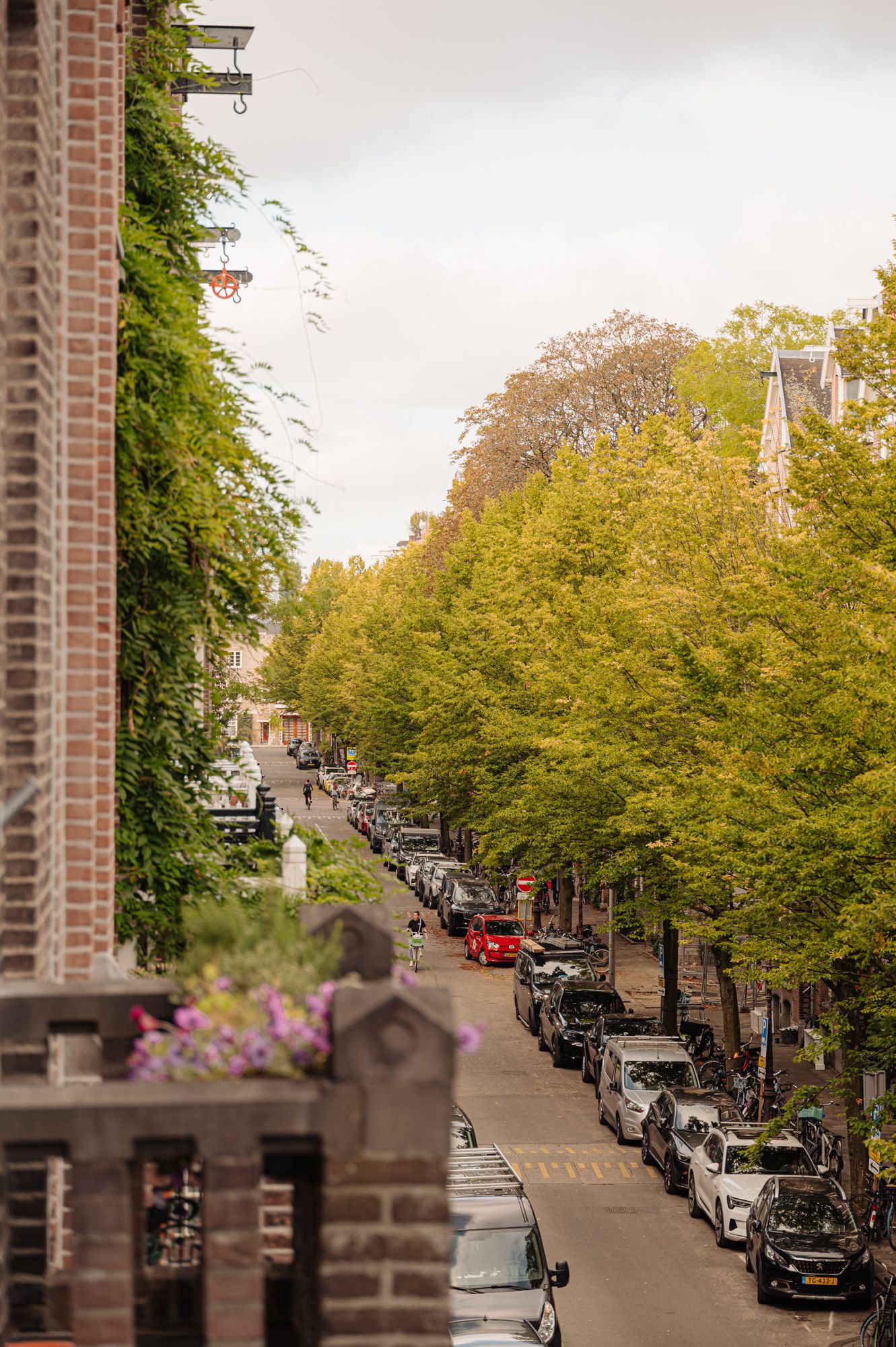 Foto 51 van Nicolaas Maesstraat 87-2