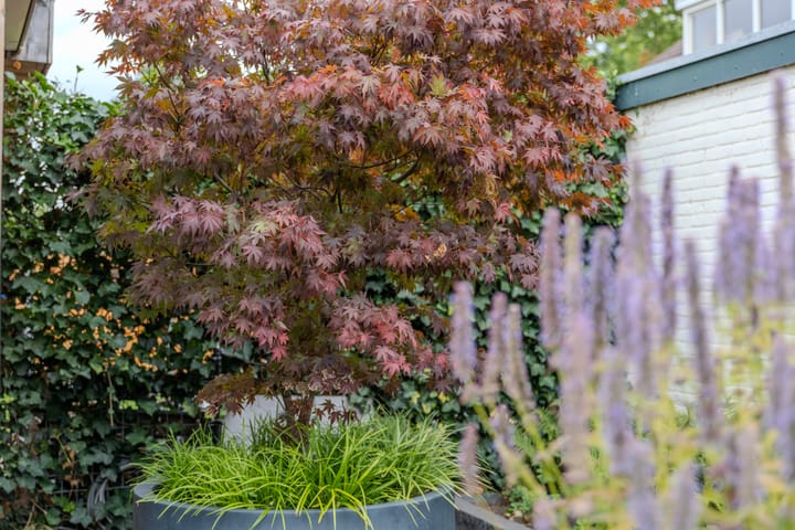 Photo 31 of Bremlaan 19