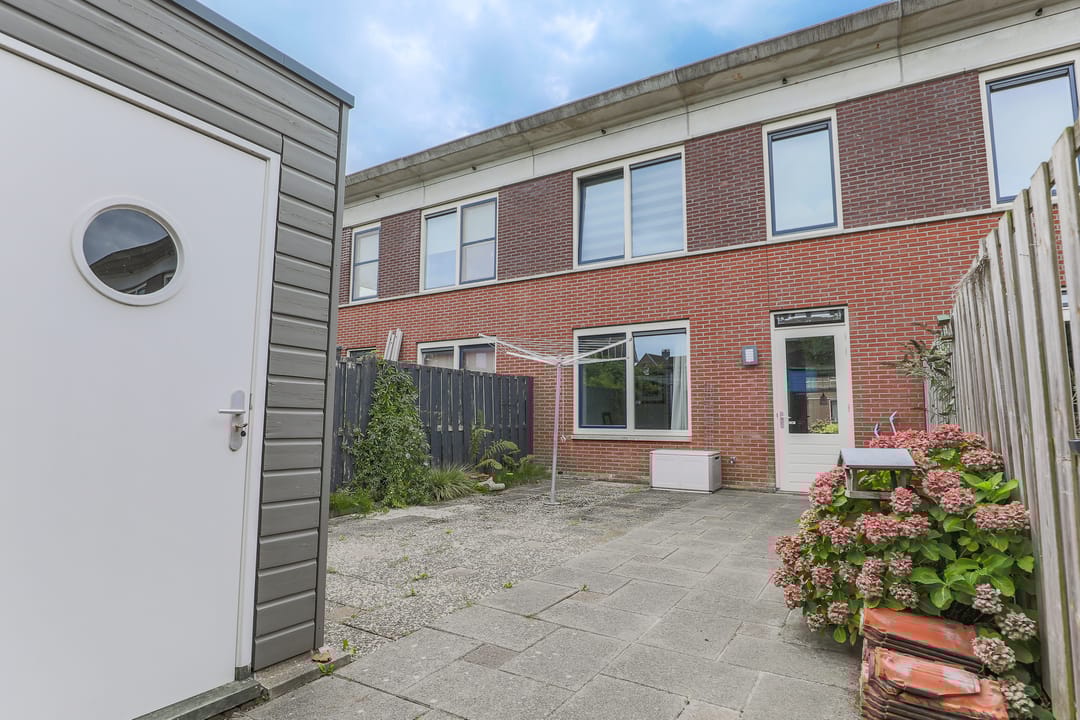 Photo 2 of Roodborst 30