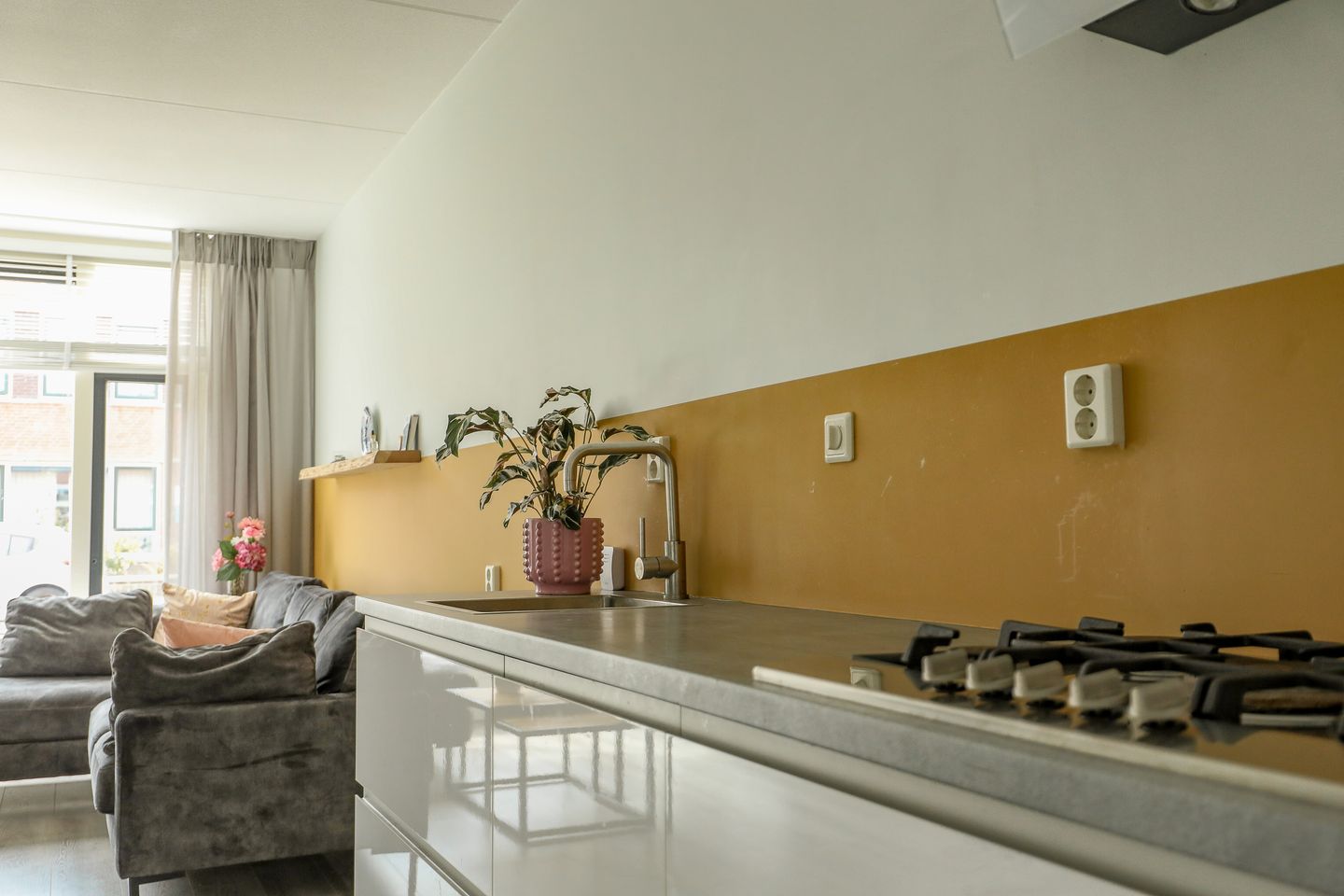 Photo 4 of Roodborst 30