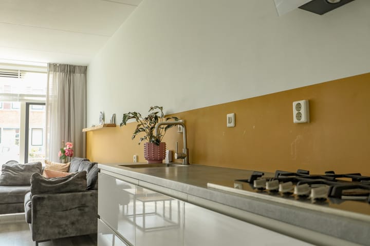 Foto 4 van Roodborst 30