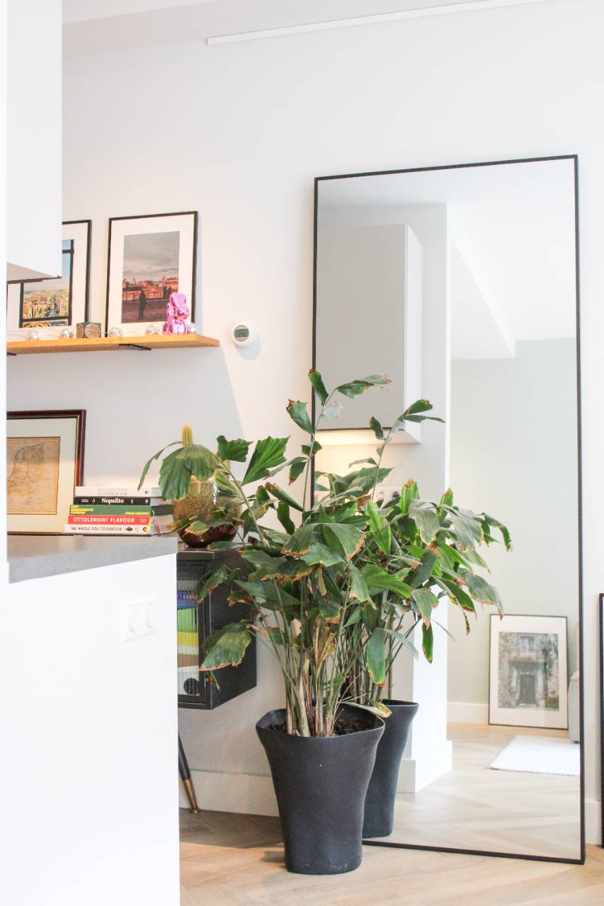 Photo 7 of Andreas Schelfhoutstraat 50-E