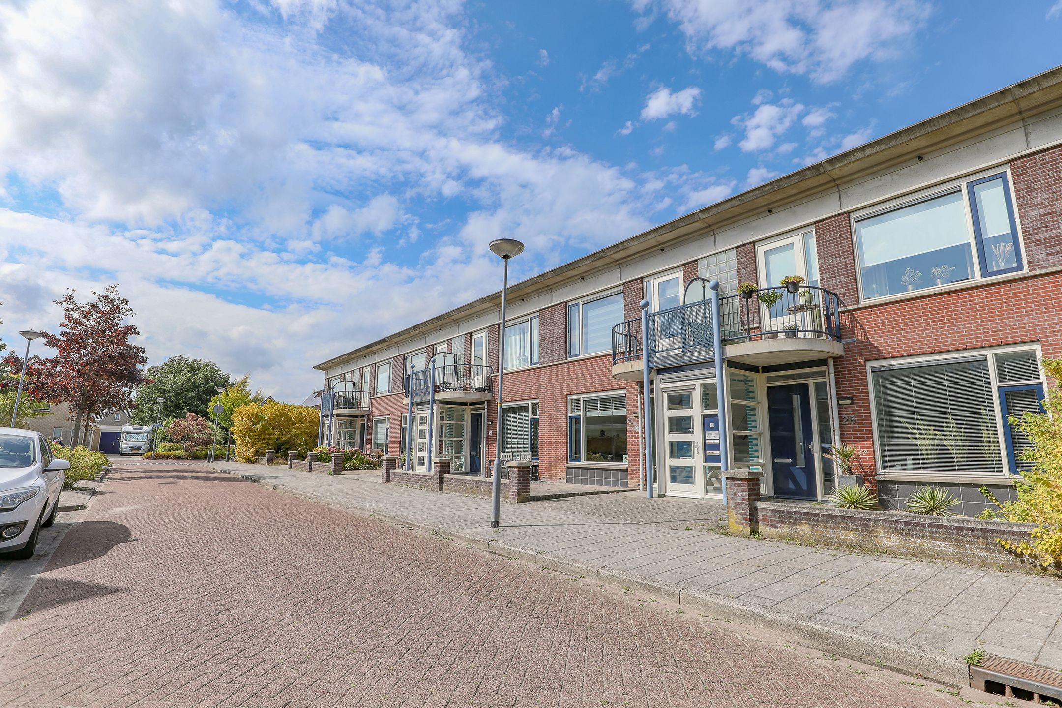 Photo 6 of Roodborst 30