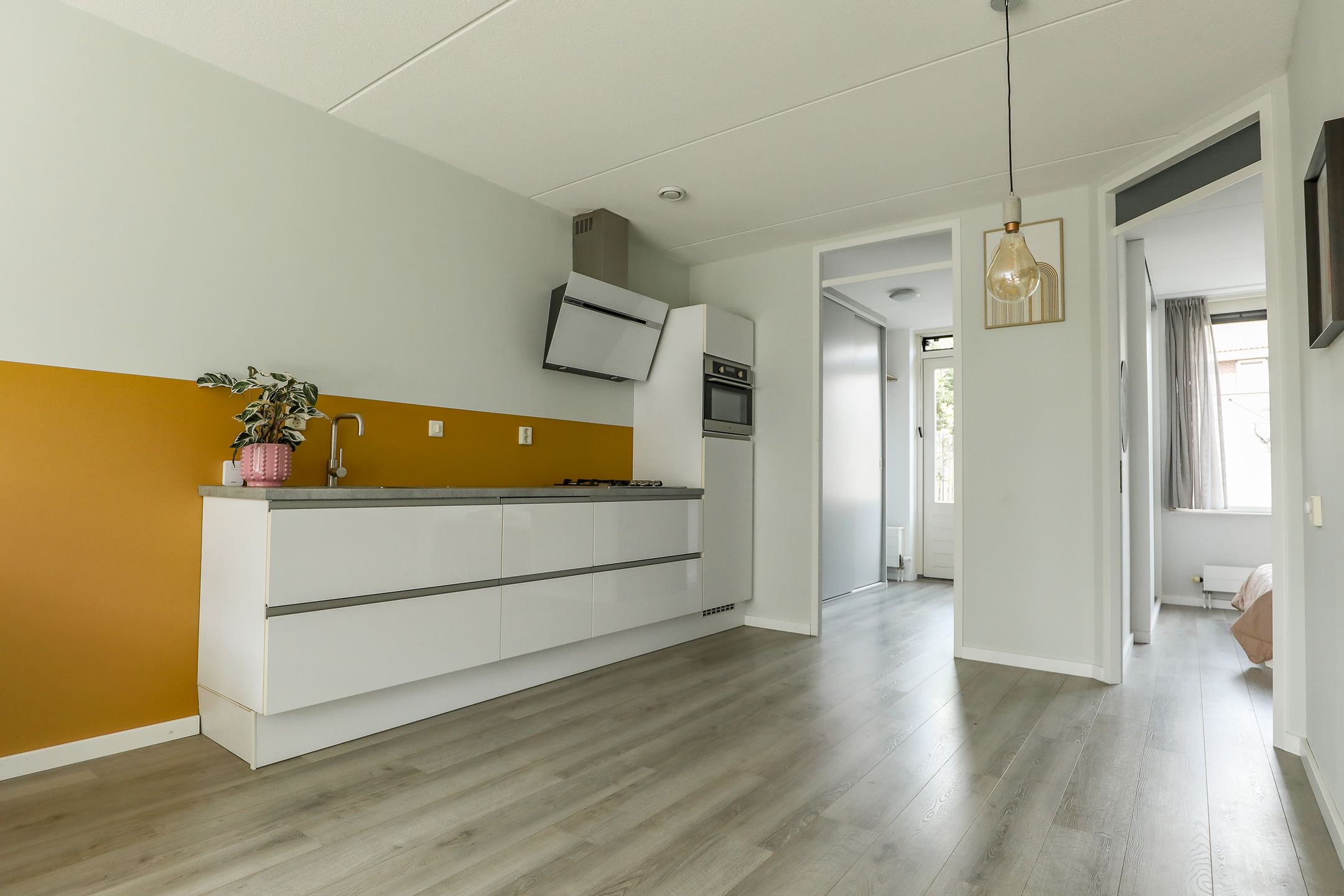 Photo 15 of Roodborst 30