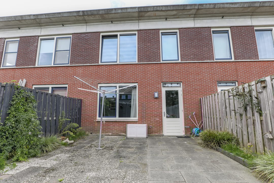 Photo 26 of Roodborst 30