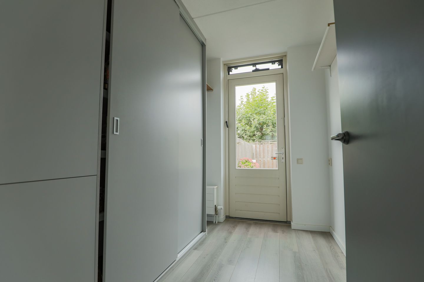 Photo 25 of Roodborst 30