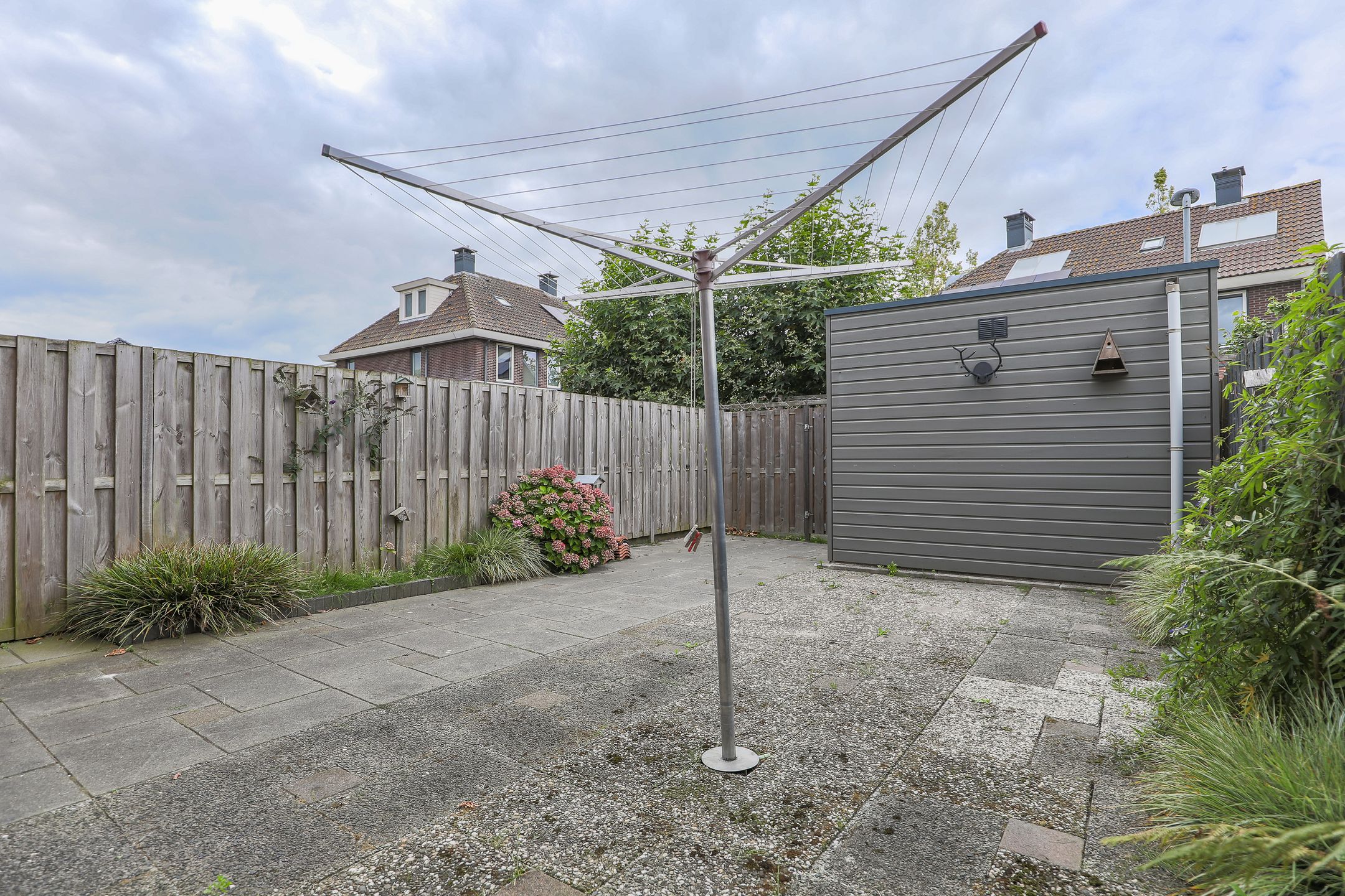 Photo 27 of Roodborst 30