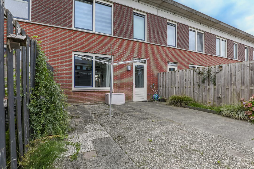 Photo 28 of Roodborst 30