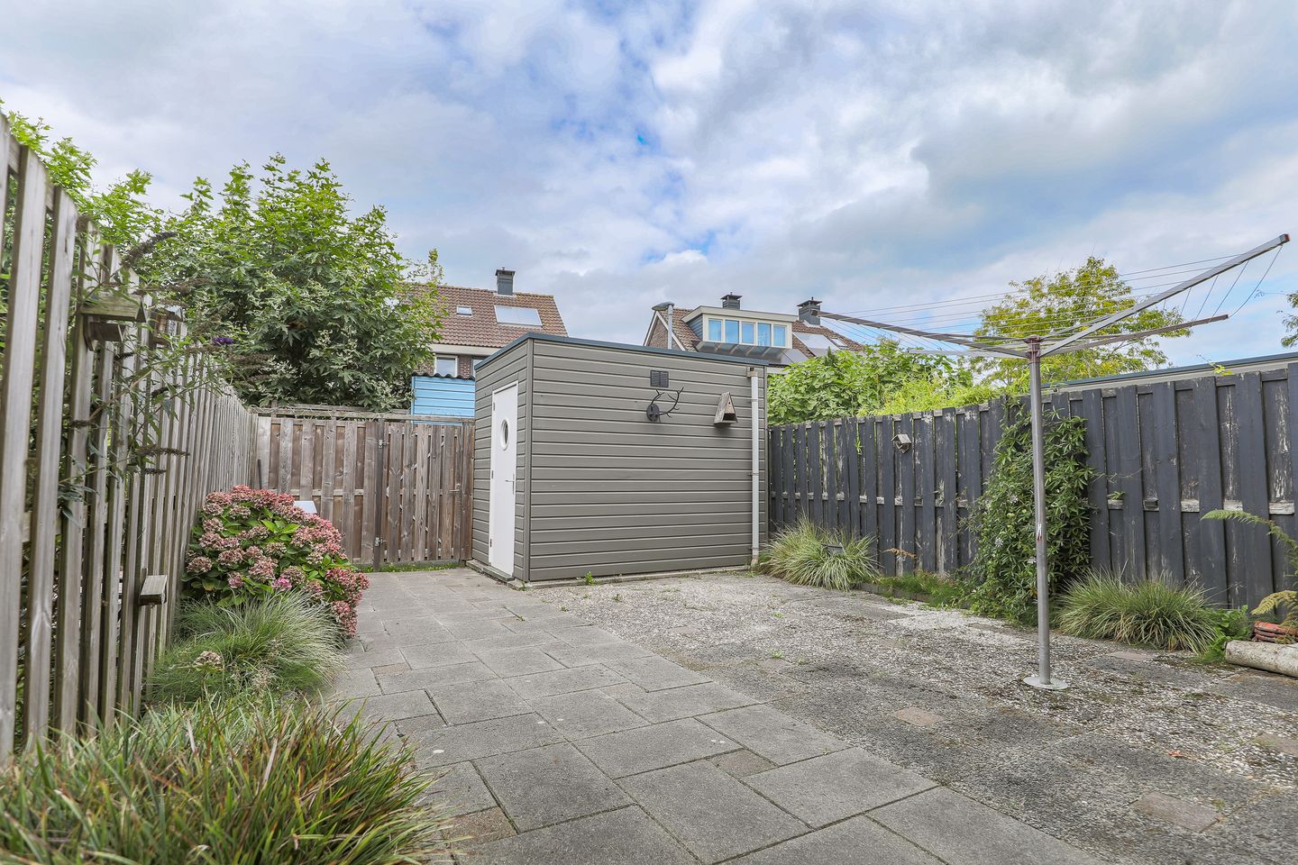 Photo 29 of Roodborst 30