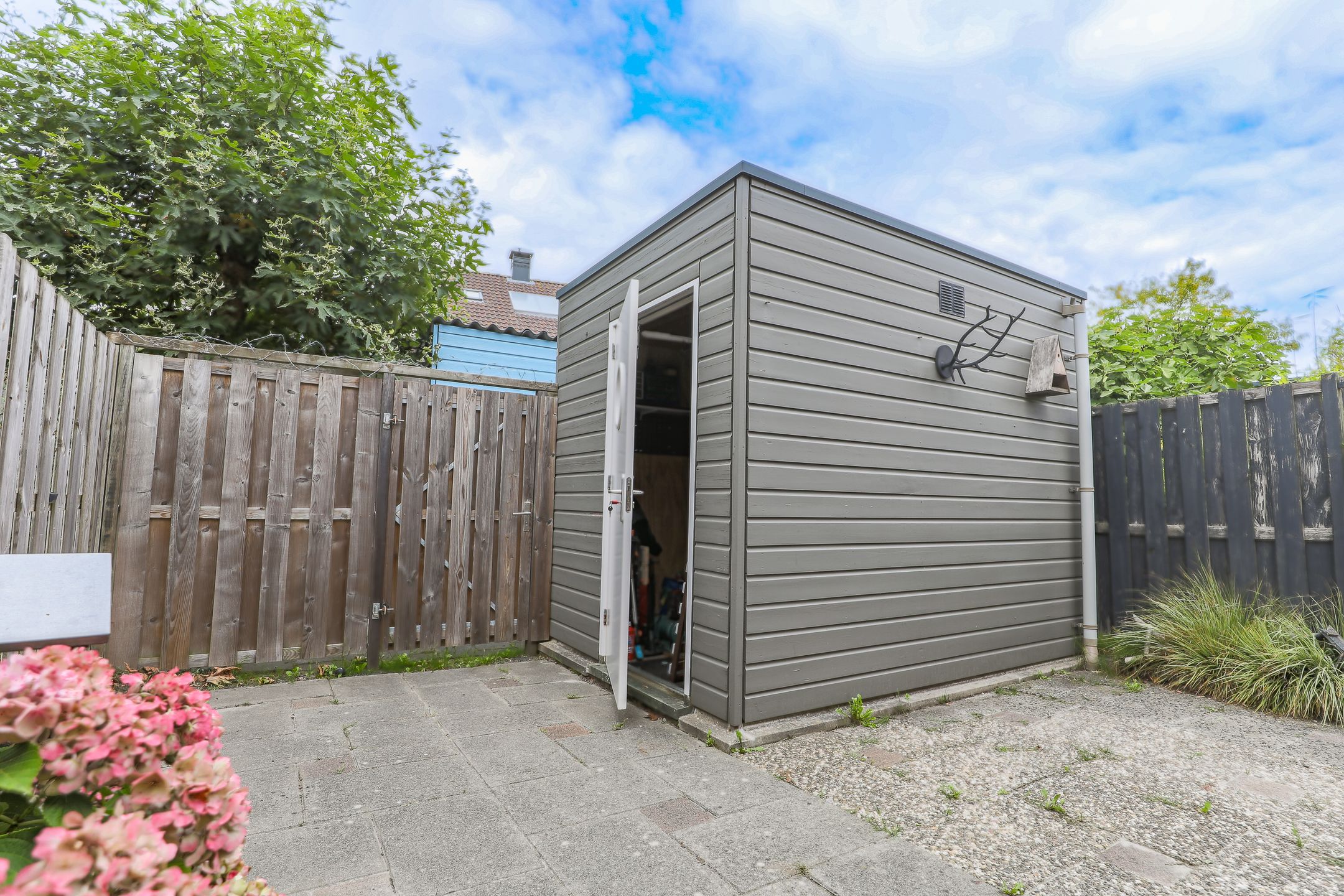 Photo 30 of Roodborst 30