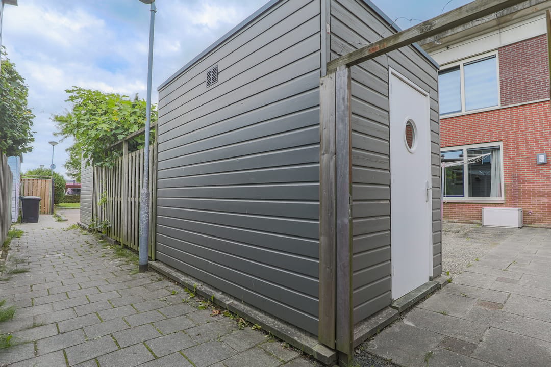 Photo 31 of Roodborst 30