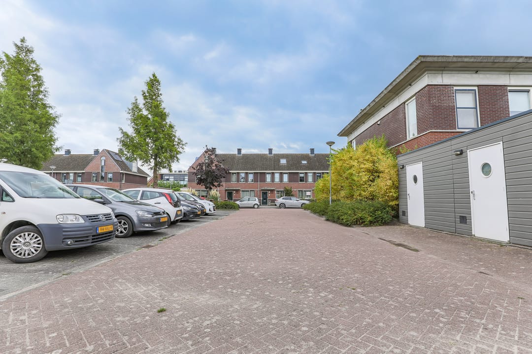 Photo 32 of Roodborst 30