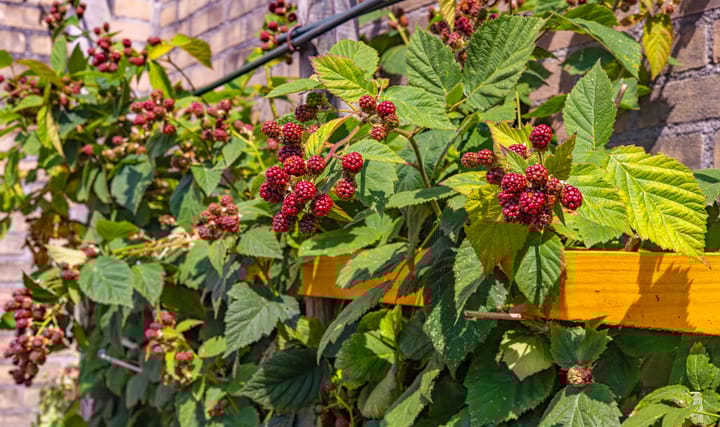 Photo 23 of Prins Clausstraat 18