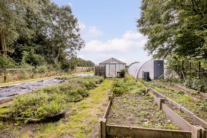 Foto 48 van Hoornderweg 2