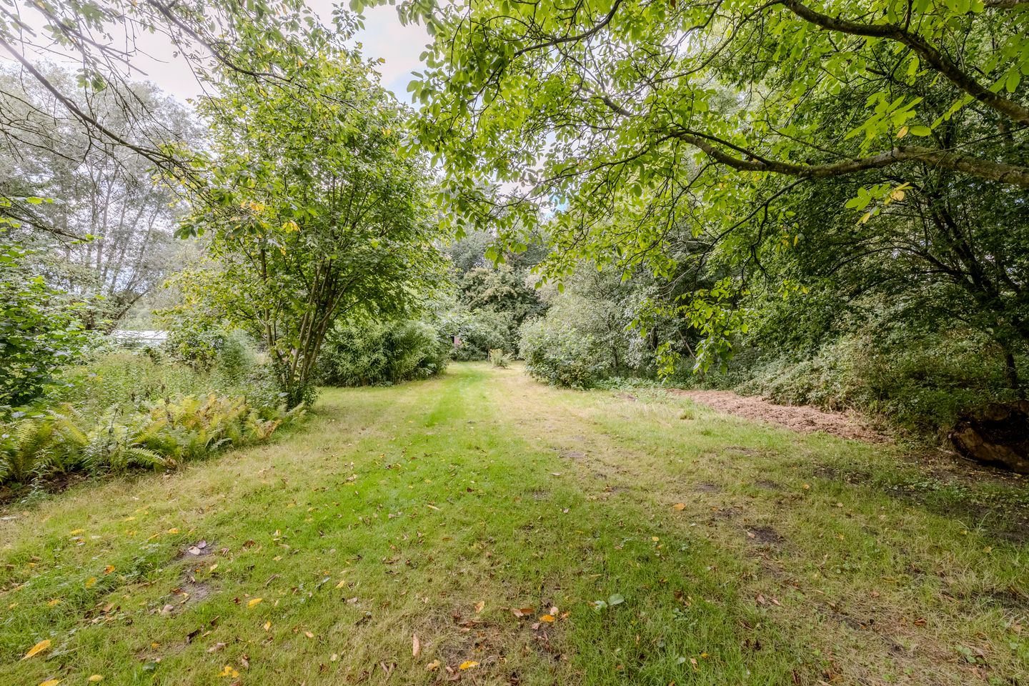 Foto 49 van Hoornderweg 2