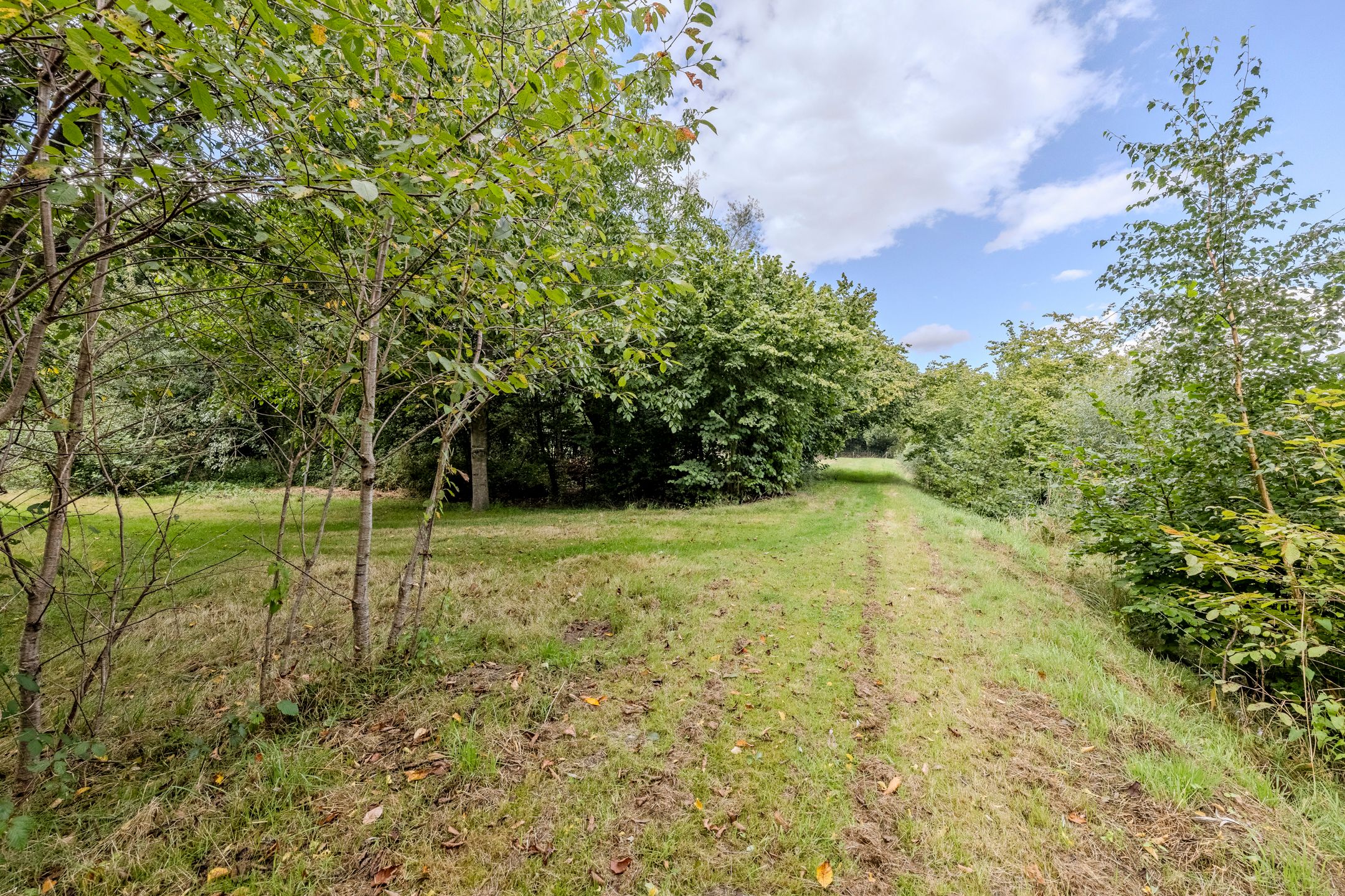 Foto 51 van Hoornderweg 2