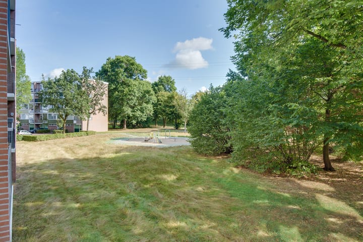 Foto 23 van Cornelis Bosstraat 42