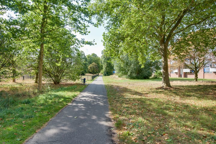 Foto 25 van Cornelis Bosstraat 42