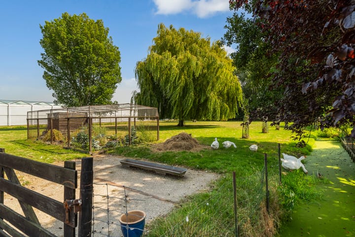 Photo 70 of Oostbuurtseweg 42