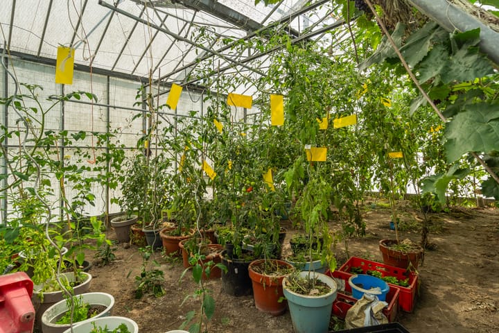 Photo 82 of Oostbuurtseweg 42