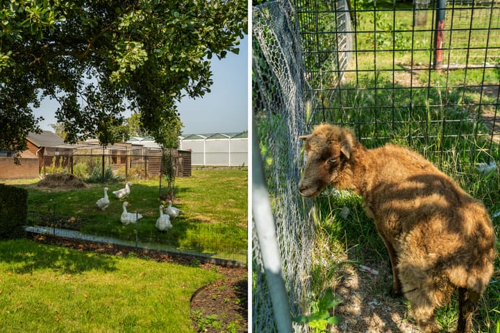 Photo 84 of Oostbuurtseweg 42