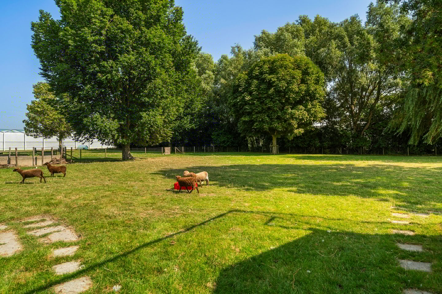 Photo 85 of Oostbuurtseweg 42