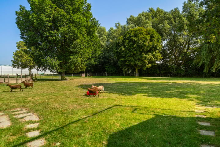 Photo 85 of Oostbuurtseweg 42