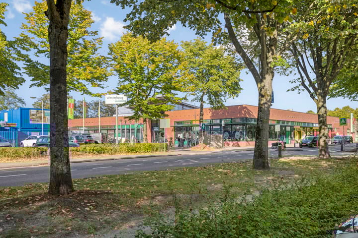 Photo 42 of Zuiderland 12