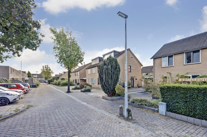 Foto 43 van Kruizemunt 34