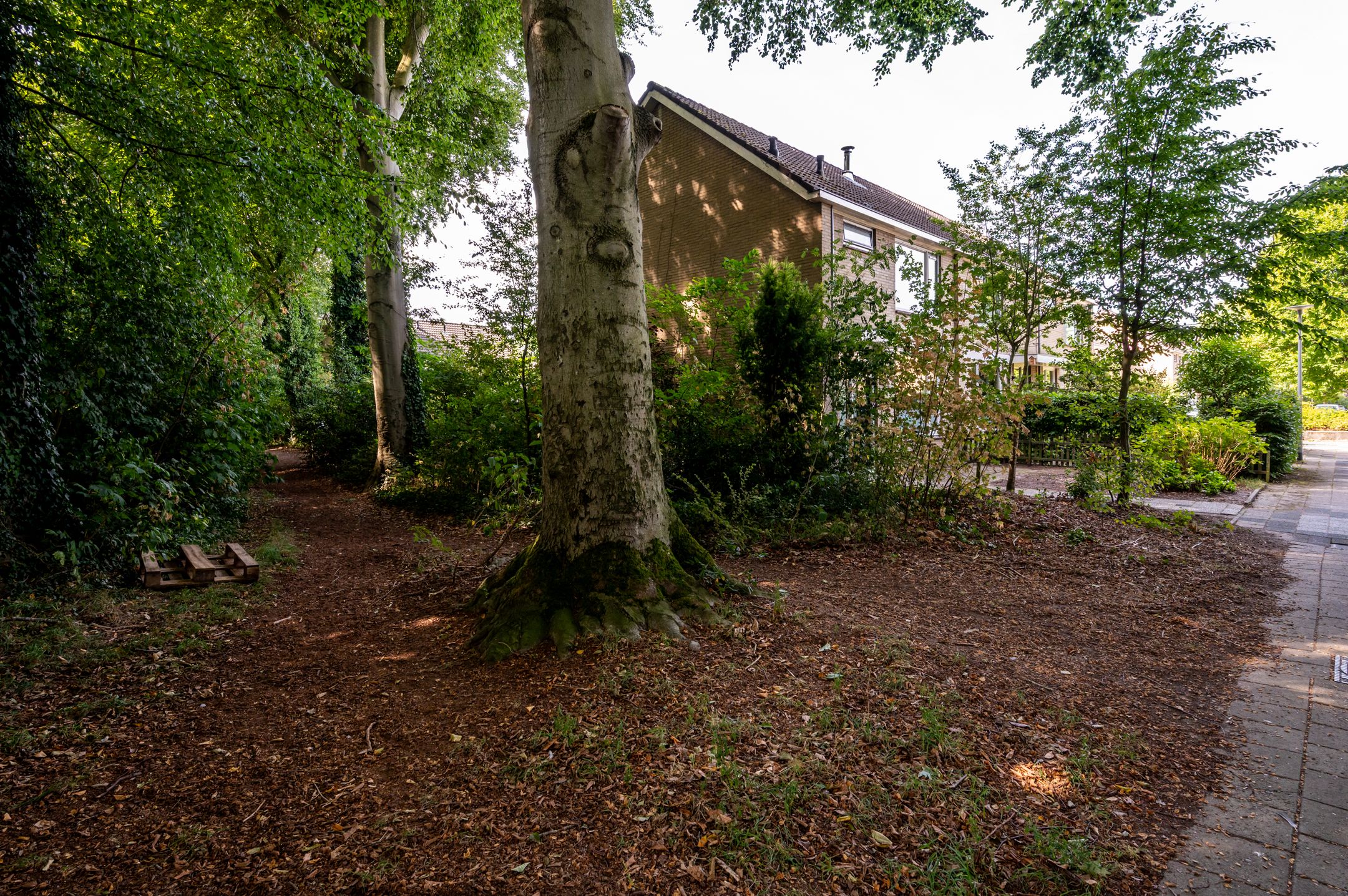 Photo 27 of Beneluxlaan 64