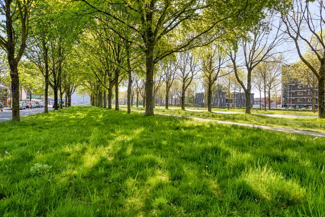 Foto 41 van Sibeliusstraat 753