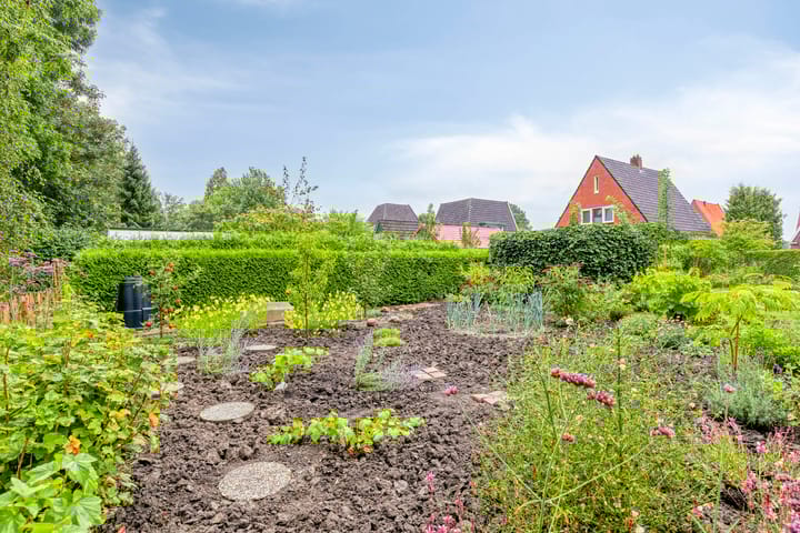 Foto 46 van Wagenborgerweg 43