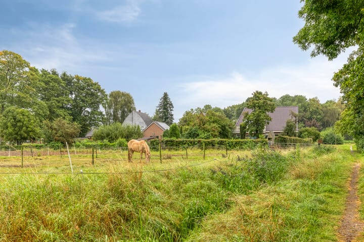 Foto 48 van Wagenborgerweg 43