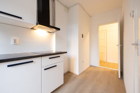 Leeuwenstraat thumbnail