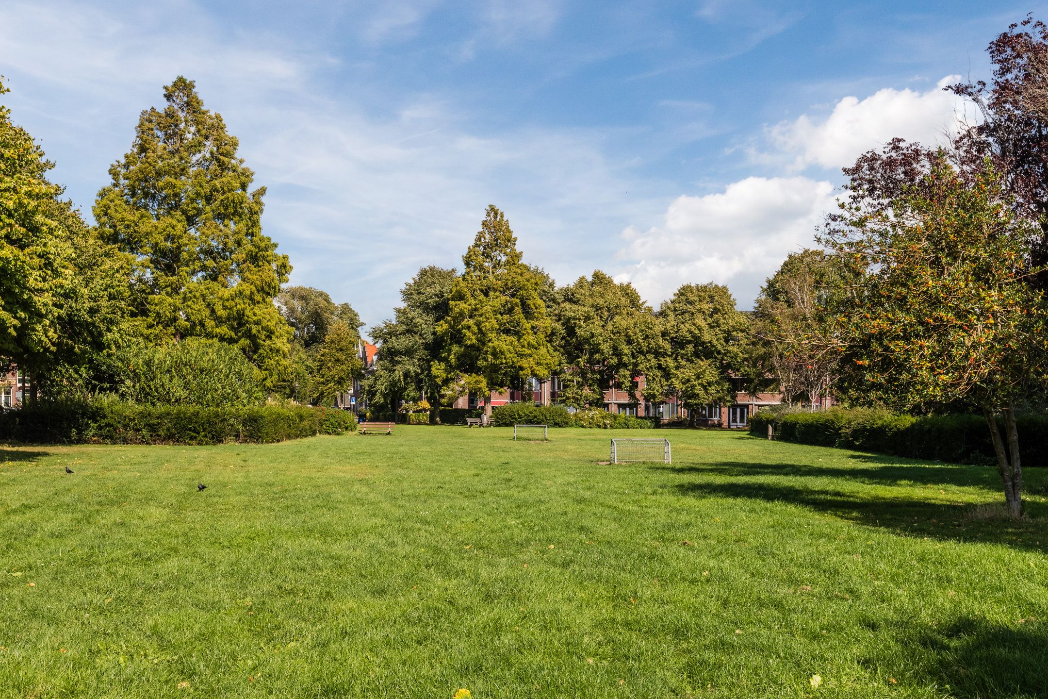 Foto 78 van Nassauplein 18