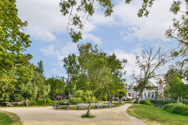 Photo 21 of Nicolaas Maesstraat 92-A