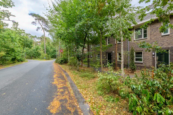 Foto 34 van Kerckeboschlaan 16