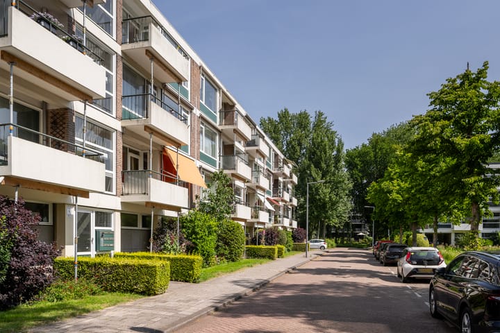 Foto 26 van De Lairesselaan 177