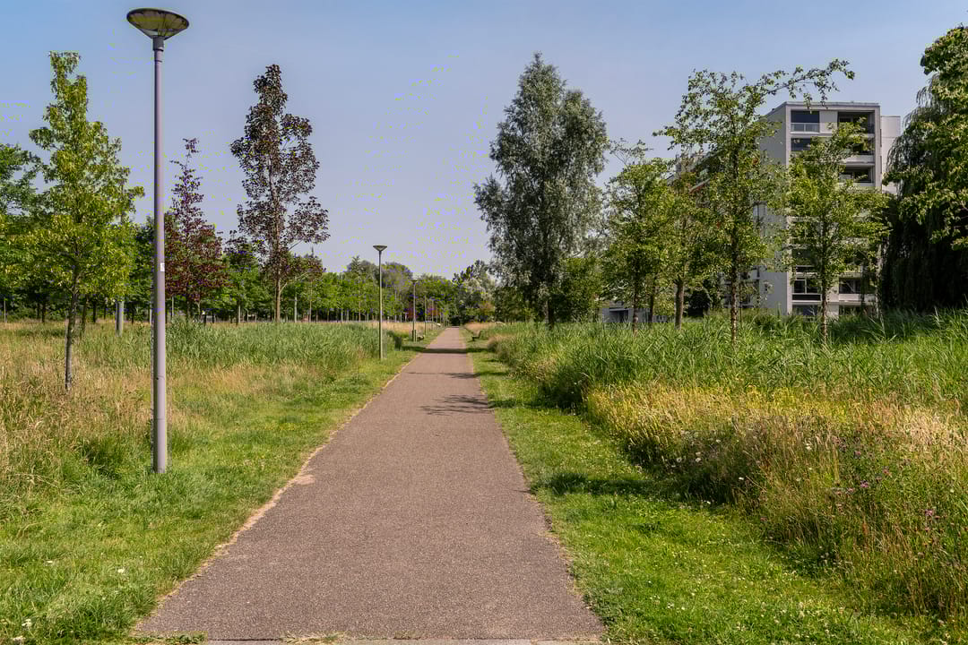 Foto 28 van De Lairesselaan 177