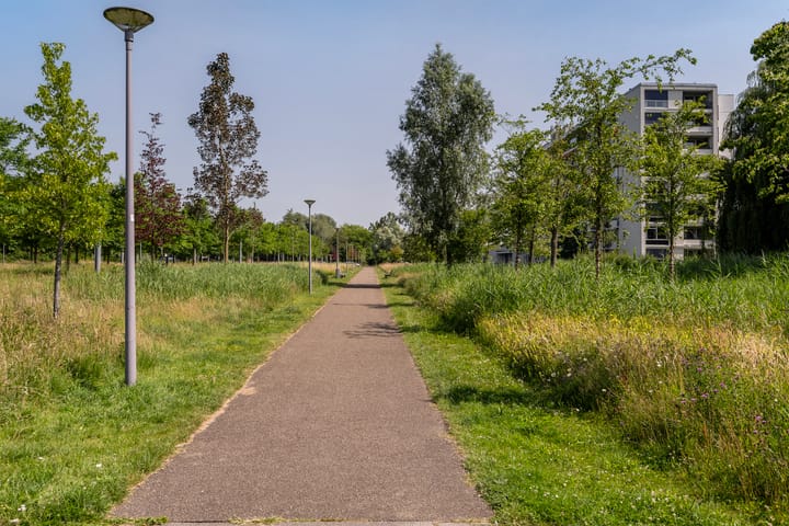 Foto 28 van De Lairesselaan 177