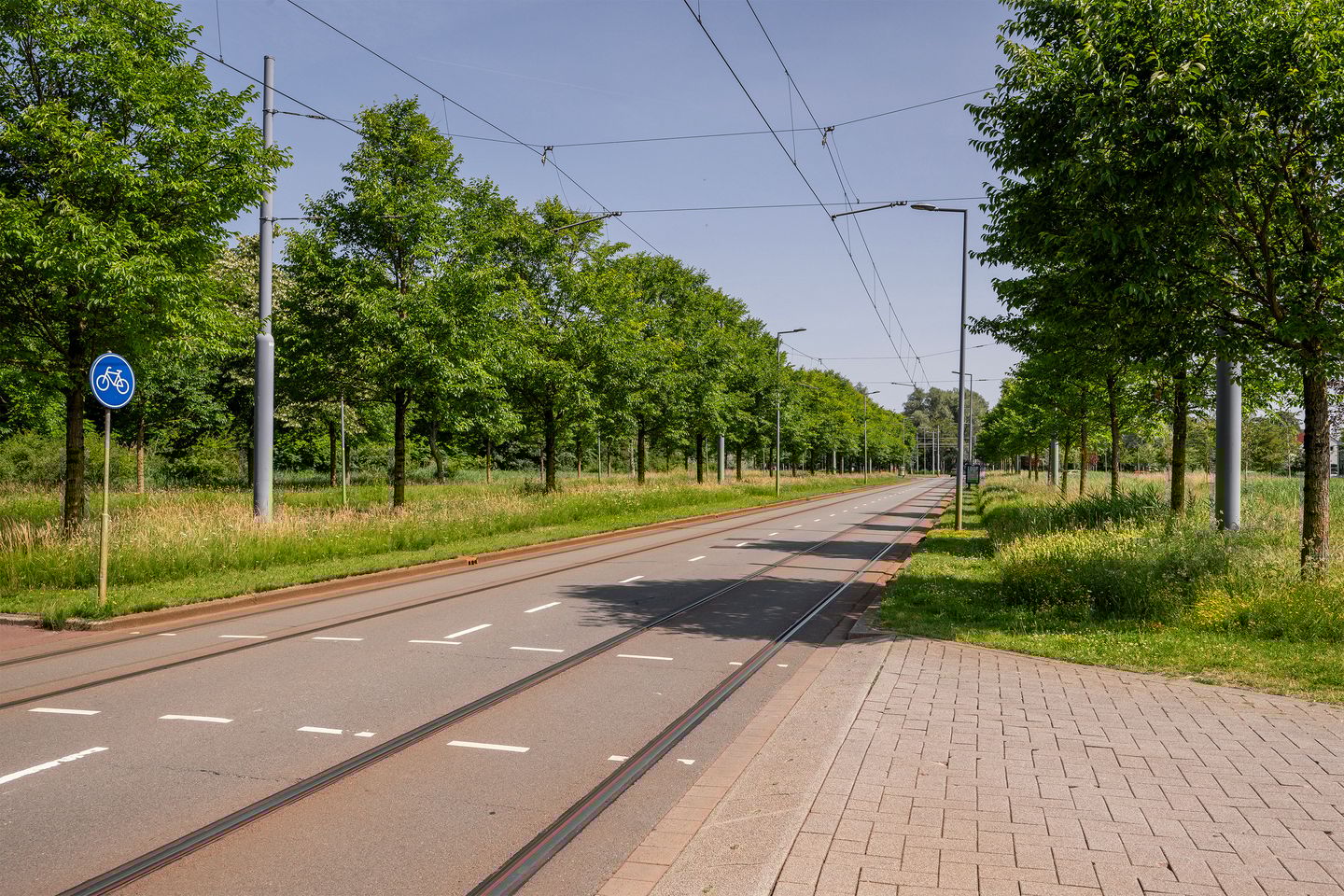 Foto 29 van De Lairesselaan 177